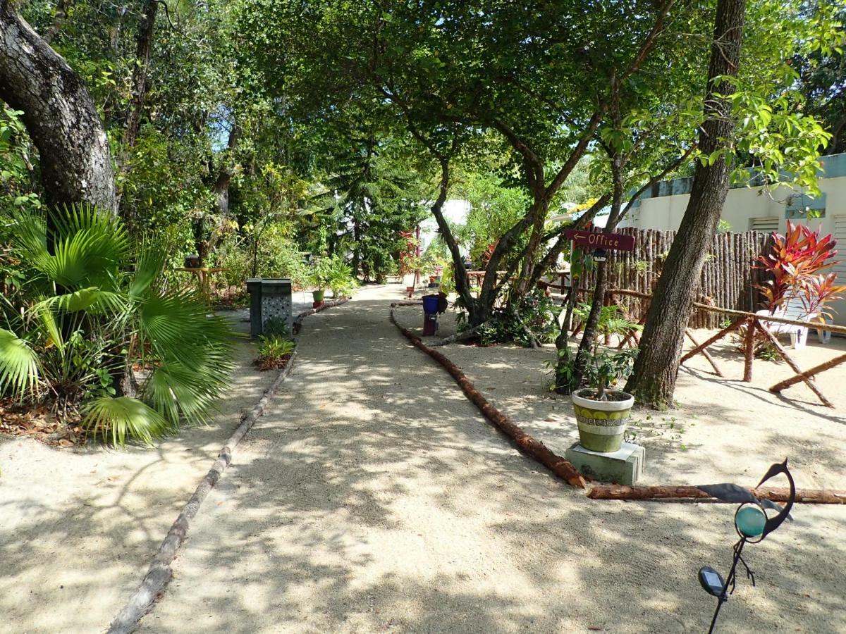 מאיה ביץ' Simberts Apartments מראה חיצוני תמונה